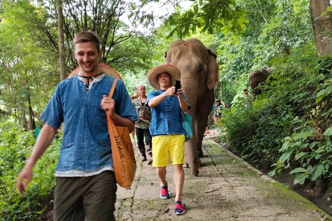 Elephant Experience and Hidden Jungle Waterfall Chiang Mai - What the $52.15 price gives you
