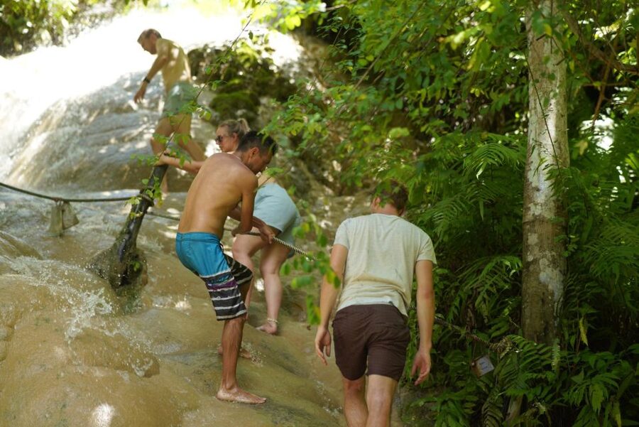 Elephant Habitat Park Feeding Entry & Rafting Van Transfer - A full day in Mae Wang, not just an elephant photo stop