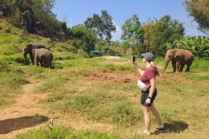 Elephant Sanctuary, Wat Ban Den & Sticky Waterfall - Guide quality can shape the whole experience