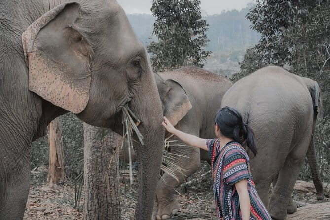 Elephant Sanctuary + Waterfall + Bamboo Rafting One Day Trip - Cooling off at a 20-meter waterfall