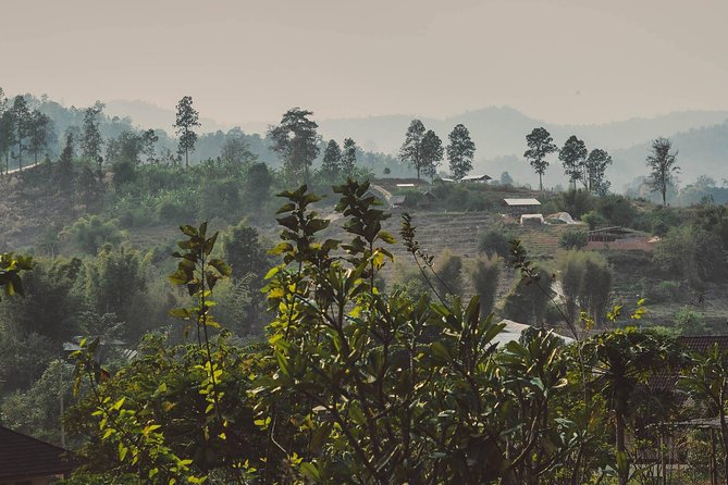 Elephant Sightings , Bamboo Rafting Through The Jungle, Swimming In a Waterfall - Three Chiang Mai jungle experiences in one day