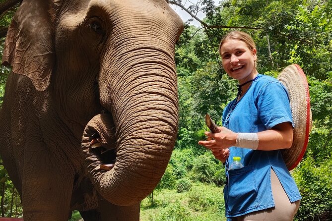 Ethical Elephant Visit and White Water Rafting in Chiang Mai - The morning drive from Chiang Mai to Mae Taeng