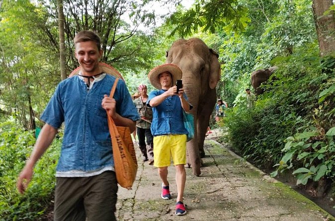 Ethical Elephant Visit and White Water Rafting in Chiang Mai - Is $58.67 a fair price?