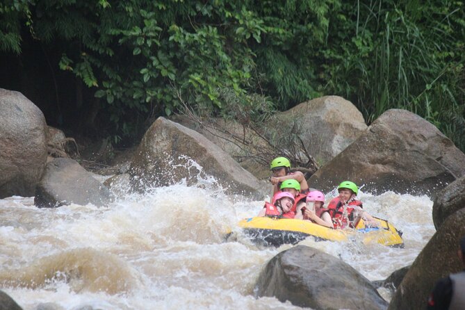 Ethical Elephant Visit and White Water Rafting in Chiang Mai - What an ethical elephant visit should mean to you
