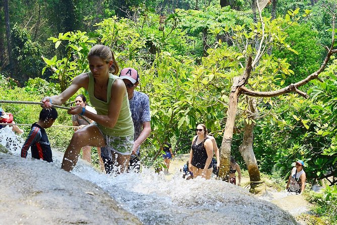Experience Elephant Sanctuary + Sticky Waterfall - Lunch with time to change