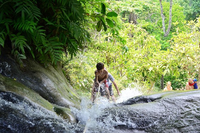 Experience Elephant Sanctuary + Sticky Waterfall - Who will enjoy this day most