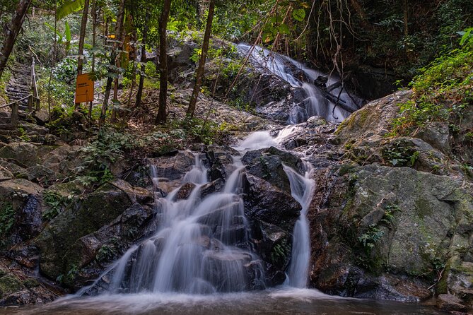Explore Mae Kampong Village from Chiang Mai City - Lunch at a Local Eatery, With the Bill Separate