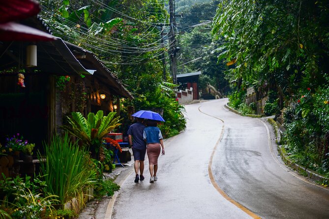Explore Mae Kampong Village from Chiang Mai City - Mae Kampong Waterfall and One Hour in the Forest