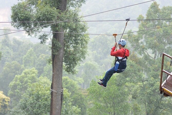 Extream Zipline @ Kingkong Smile and Dip in Hot Spring - Why the Views Are Part of the Value