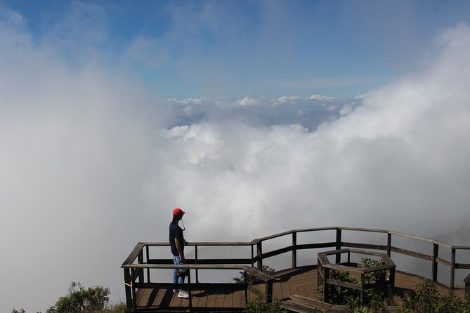 Fantastic! Famous Doi Inthanon National park tour with 2hr trekking - Choosing between Kew Mae Pan and Pha Dok Siew