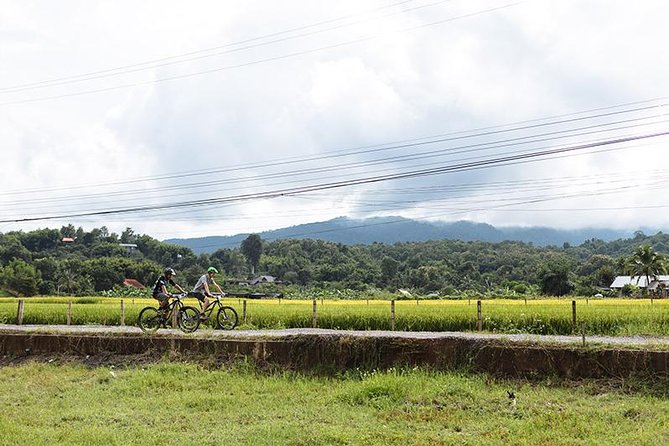 FIELDS OF GOLD Mountain Biking Tour Chiang Mai - Leaving Chiang Mai for the fields