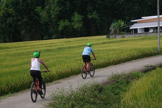 FIELDS OF GOLD Mountain Biking Tour Chiang Mai - Weather, clothing, and practical preparation