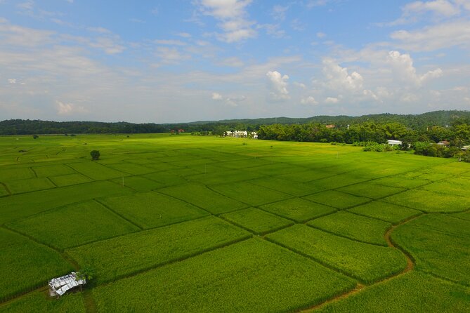 FIELDS OF GOLD Mountain Biking Tour Chiang Mai - What the route reveals about rural Chiang Mai