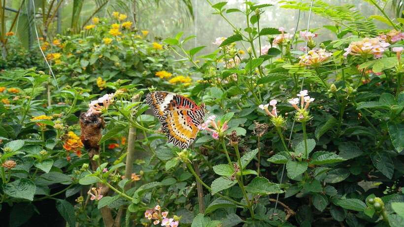 From Chiang Mai: Chiang Dao Cave & 5 Hill Tribe Villages - Small tips that make the day easier