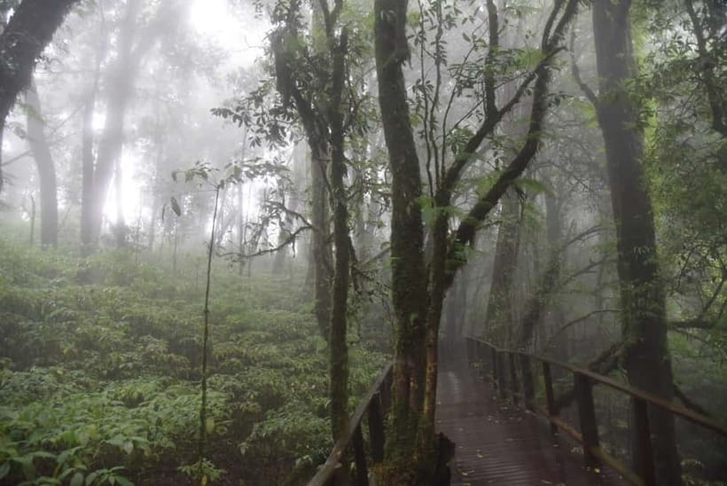 From Chiang Mai: Doi Inthanon National Park Day Trip - The King and Queen Twin Pagodas and their mountain views