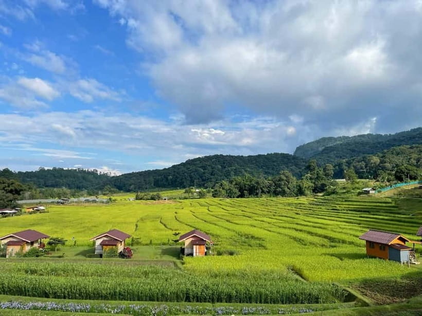 From Chiang Mai: Doi Inthanon National Park Day Trip - A Hmong market with highland fruit and local crafts