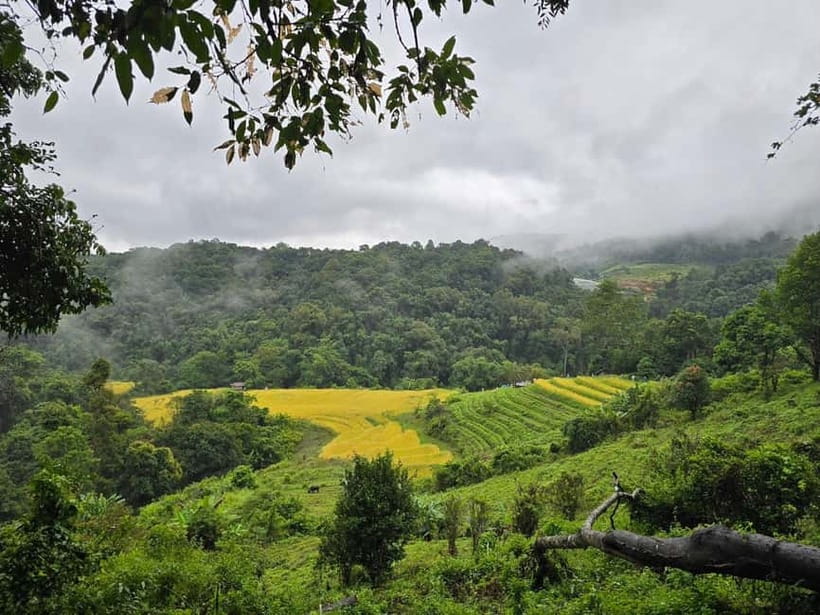 From Chiang Mai: Doi Inthanon National Park Day Trip - Lunch and coffee in Mae Klang Luang