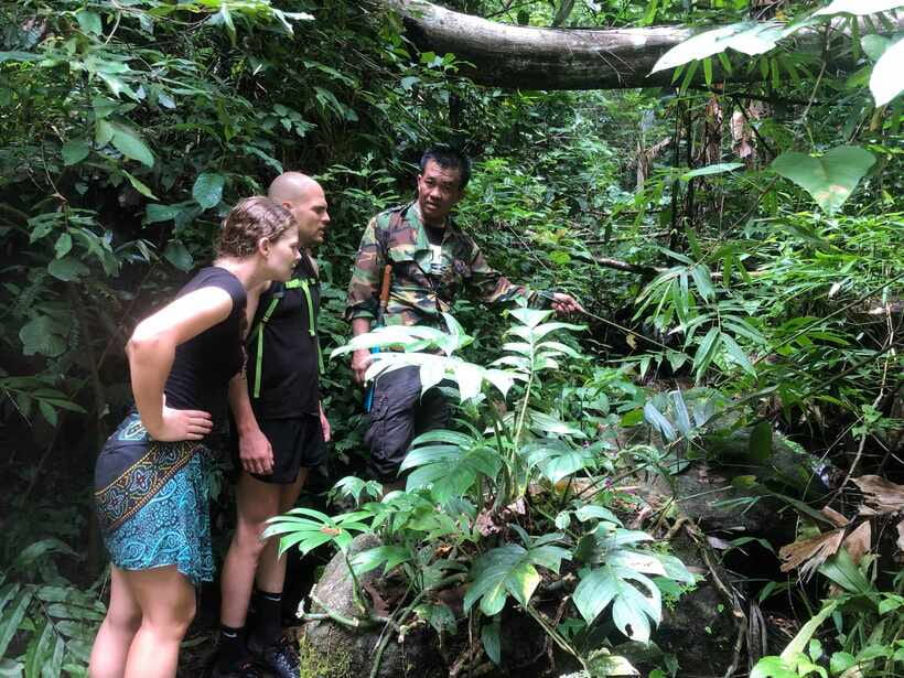 From Chiang Mai: Doi Saket Hiking Tour with Lunch - Why this Doi Saket trek feels different