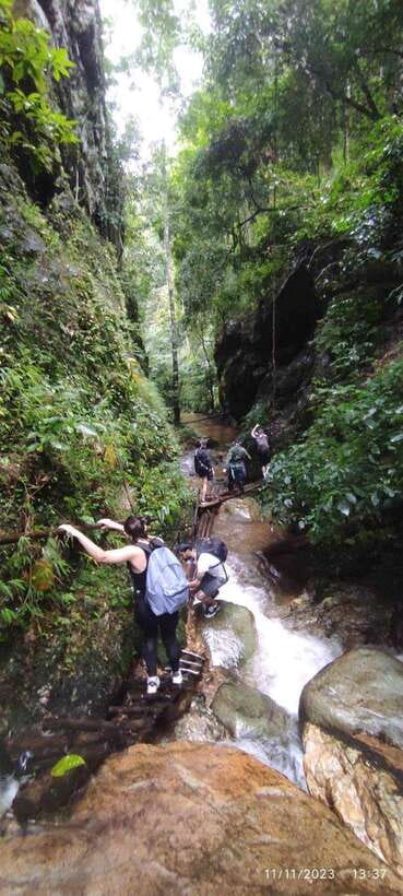 From Chiang Mai: Doi Saket Hiking Tour with Lunch - Five hours on a demanding forest trail