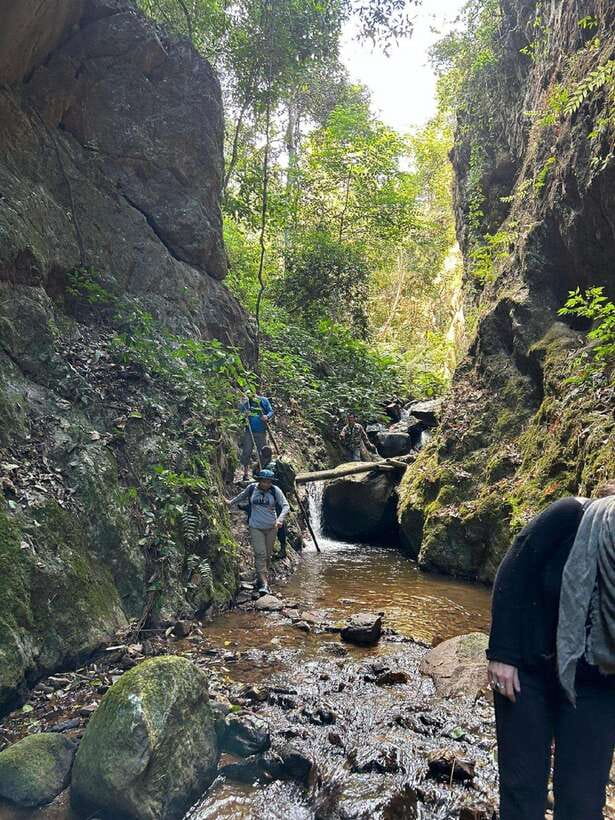 From Chiang Mai: Doi Saket Hiking Tour with Lunch - The return through bamboo and fruit trees