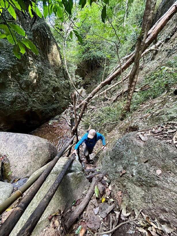 From Chiang Mai: Doi Saket Hiking Tour with Lunch - Fruit, tea, and coffee back in the village