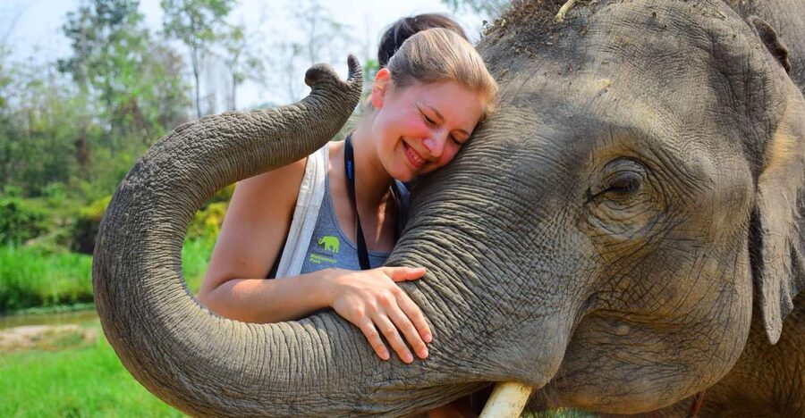From Chiang Mai: Elephant Care Program and Nursery Tour - Key points to know before booking