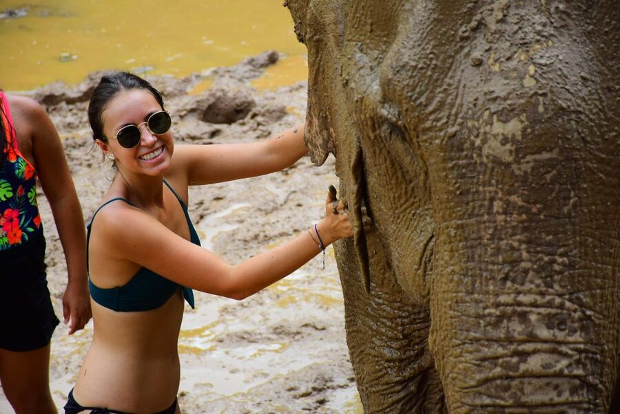 From Chiang Mai: Elephant Care Program and Nursery Tour - Preparing food and feeding bananas