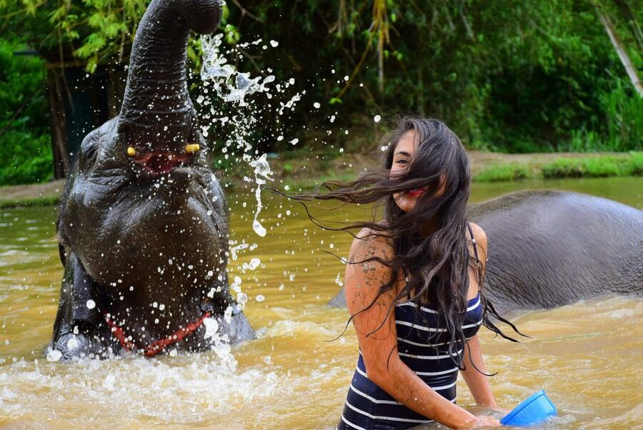 From Chiang Mai: Elephant Care Program and Nursery Tour - Following the elephants to the mud and sand spa