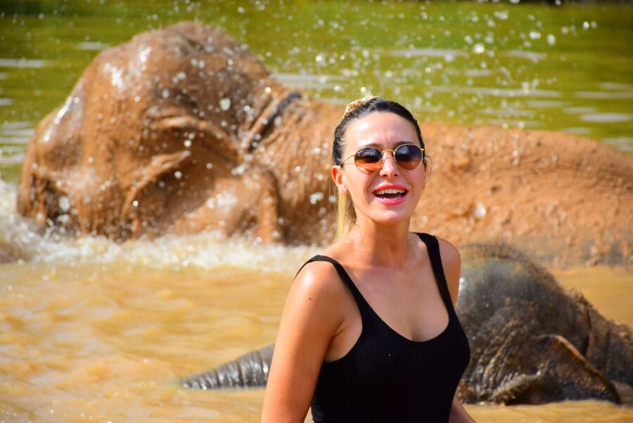 From Chiang Mai: Elephant Care Program and Nursery Tour - Photos, souvenirs, and the extra-cost details