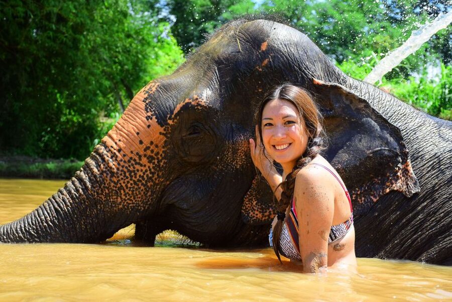 From Chiang Mai: Elephant Care Program and Nursery Tour - Who should book this half-day tour