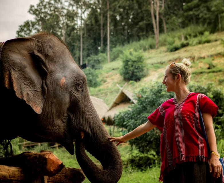 From Chiang Mai: Kerchor Eco Elephant Park Tour - Key points at a glance