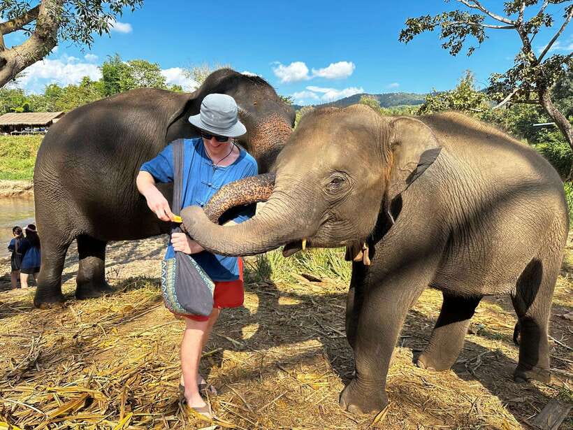 From Chiang Mai: Living Green Elephant Sanctuary Tour - Key points to know before booking