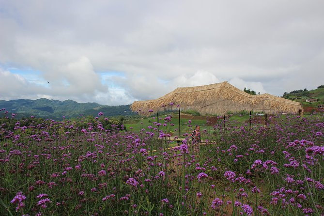 Fruiful Oneday! Trip outskirt of a City from end to end - Key points to know before booking