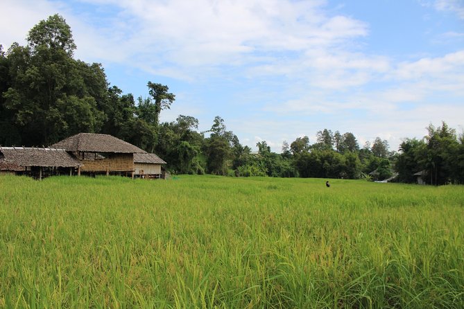 Fruiful Oneday! Trip outskirt of a City from end to end - A full day beyond Chiang Mai’s old town