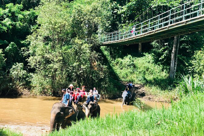 Full Day Car Hire with an English Speaking Driver in Chiang Mai - What the vehicle and driving service are like