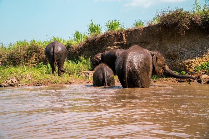 Full Day Chauffeur Driven Tuk Tuk Adventure in Chiang Mai including rafting - Setting out from Chiang Mai in a tuk tuk