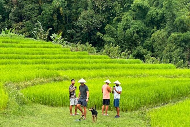 Full-Day Doi Inthanon National Park Tour with Trek and Pagodas - Leaving Chiang Mai at 7:30 am