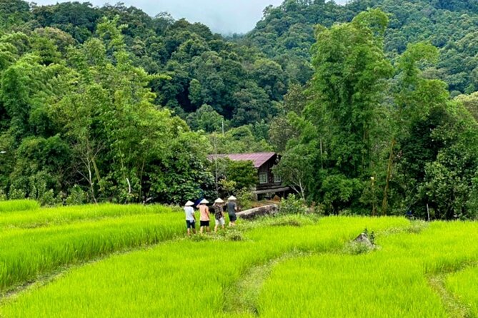 Full-Day Doi Inthanon National Park Tour with Trek and Pagodas - Wachirathan Falls after the hike