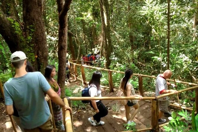 Full-Day Doi Inthanon National Park Tour with Trek and Pagodas - What $61.74 buys you
