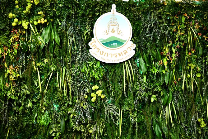 Full-Day Doi Inthanon Nature Tour from Chiang Mai - Wachirathan Waterfall, the day’s easy nature walk
