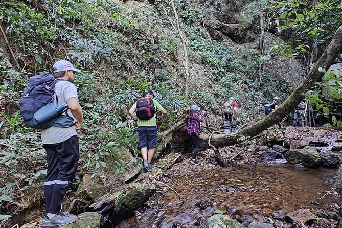 Full Day Doi Saket Hiking Tour - Key points to know before booking