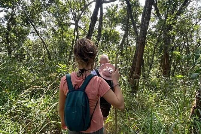Full Day Doi Saket Hiking Tour - Bamboo craft and practical forest skills