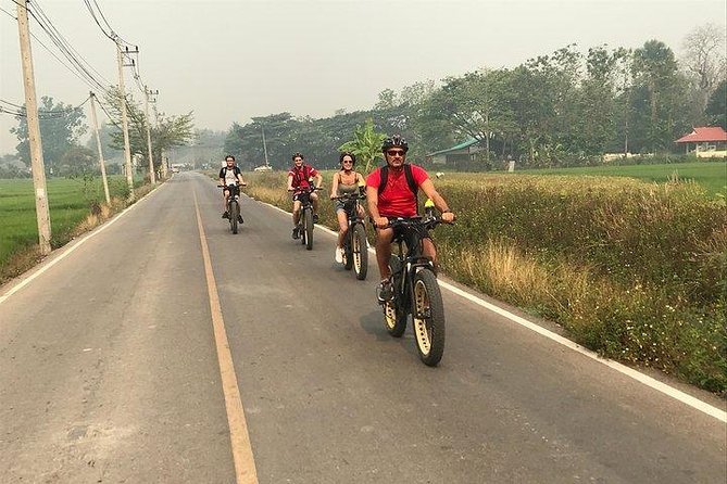 Full-day E-bike Countryside and Nam Phrae (flat-hilly, GUIDED) - The Ping River and the value of an electric bike