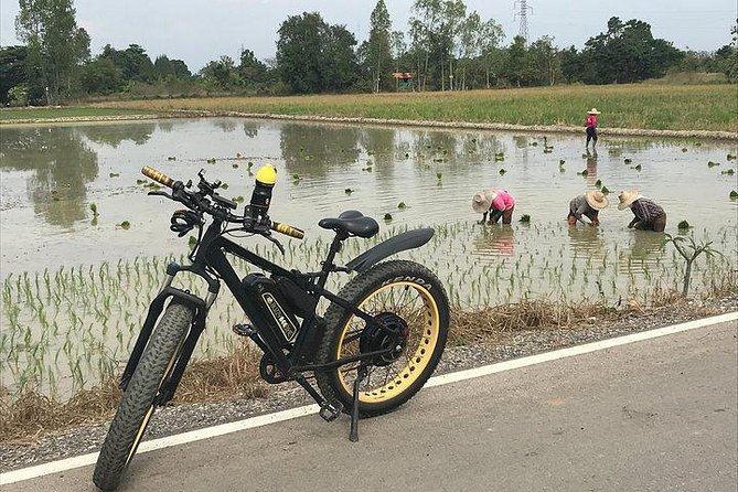 Full-day E-bike Countryside and Nam Phrae (flat-hilly, GUIDED) - Starting at Wat Ton Kwen