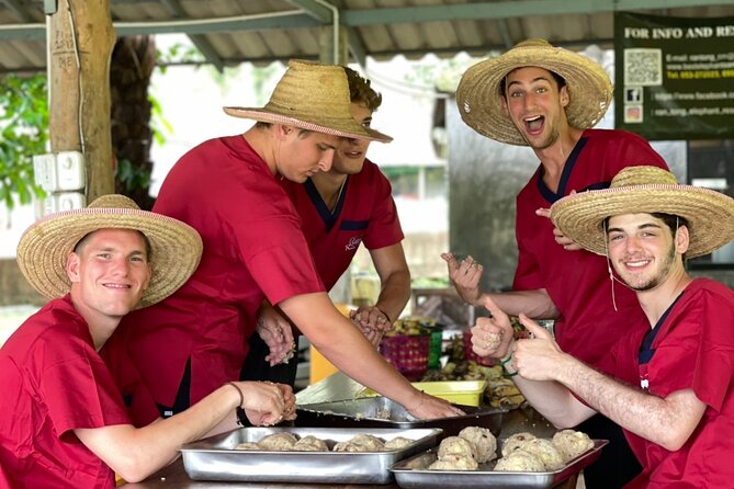 Full Day Experience at Ran-Tong Save & Rescue Elephant Centre - Thai lunch, seasonal fruit, and a short reset