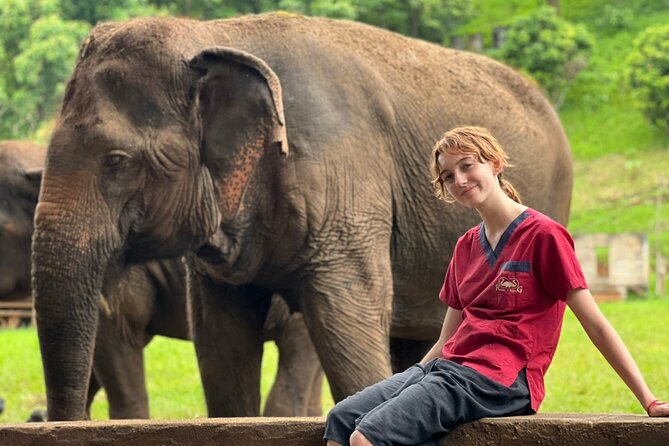 Full Day Experience at Ran-Tong Save & Rescue Elephant Centre - Group size, pace, and the feel of the day