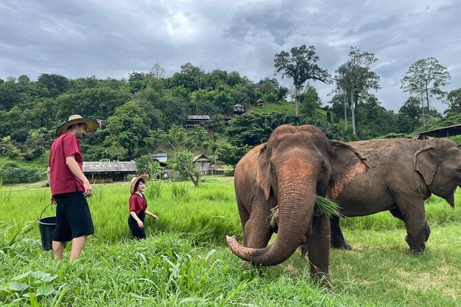 Full Day Experience at Ran-Tong Save & Rescue Elephant Centre - Starting with Karen-style clothes and elephant school