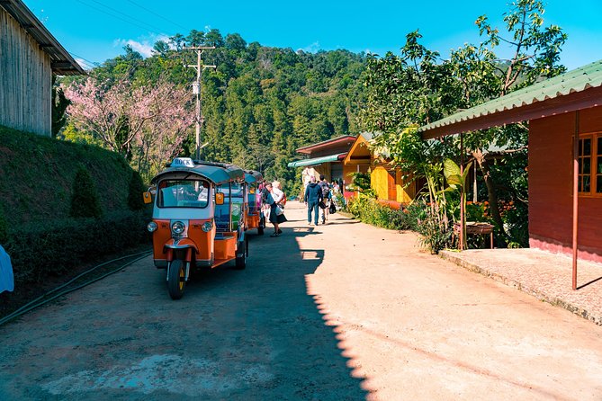 Full-Day Guided Tuk Tuk Chiang Mai Adventure and Rafting - Feeding and bathing elephants without riding