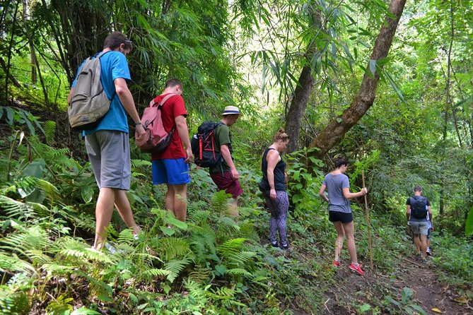 Full-Day Hike and Bike Tour from Chiang Mai - A full day beyond Chiang Mai’s city walls