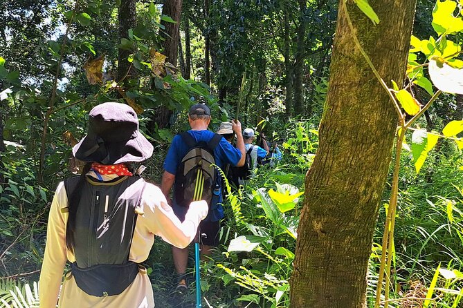 Full-Day Hike and Bike Tour from Chiang Mai - Cycling rural roads to the orchid farm